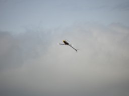 Tag der offenen Tür 23