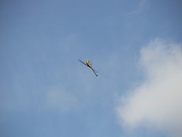 Tag der offenen Tür 23