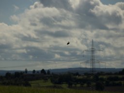 Tag der offenen Tür 23